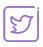 Twitter Icon