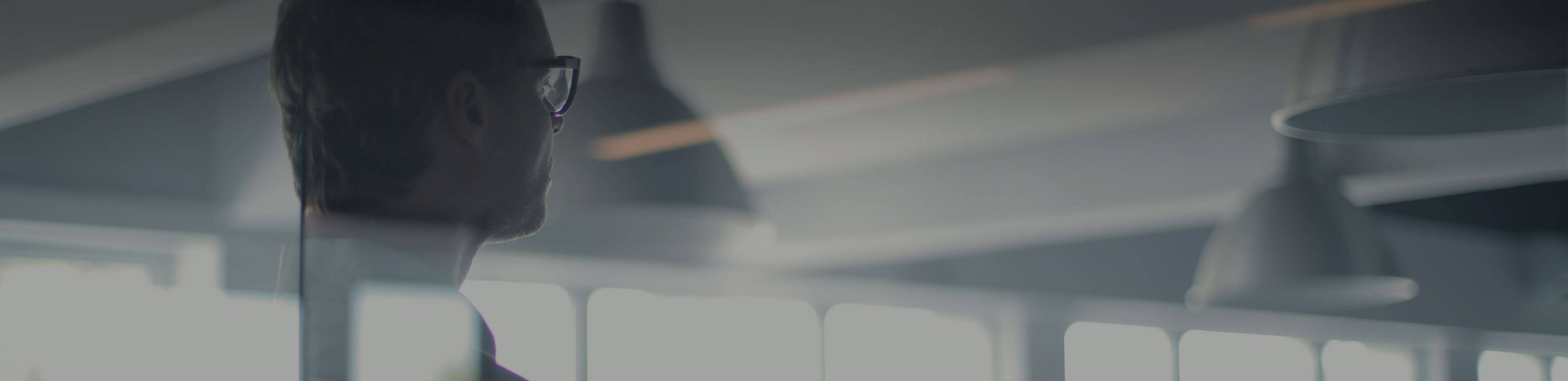 Conexson Banner Image